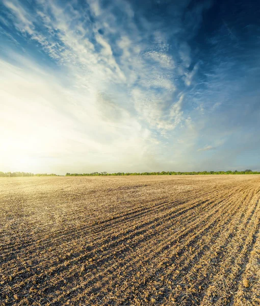 Gepflügtes Feld Herbst Bei Sonnenuntergang Blauen Himmel — Stockfoto