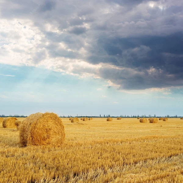 Stroh Rollen Auf Dem Feld Und Niedrige Dramatische Wolken Bei — Stockfoto