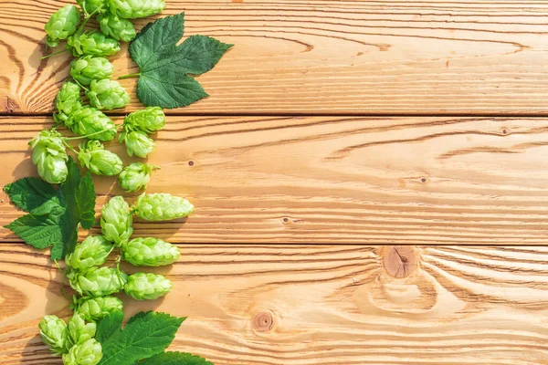 Green Hop Cones Leaves Wooden Table — Stock Photo, Image