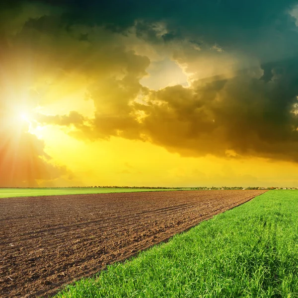 Ciel Spectaculaire Coucher Soleil Sur Les Champs Verts Noirs — Photo