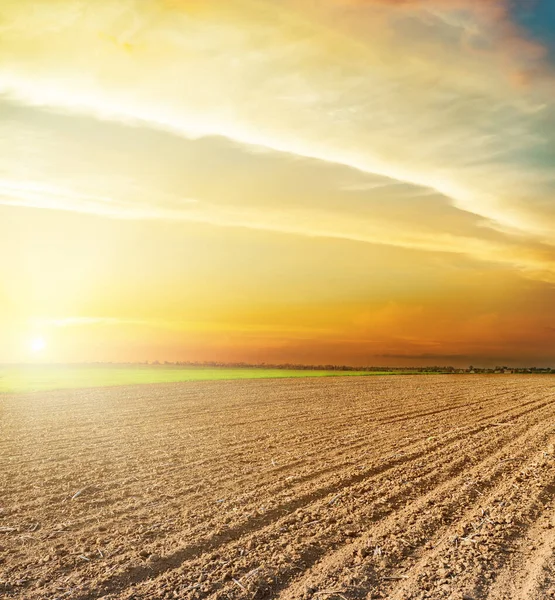 Campo Arado Negro Agrícola Puesta Sol Naranja — Foto de Stock