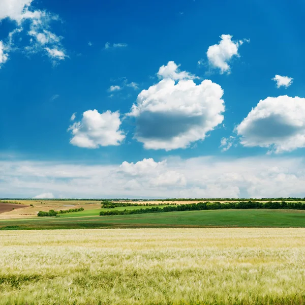 Jarní Pole Zemědělství Pod Modrou Oblohou Mraky — Stock fotografie
