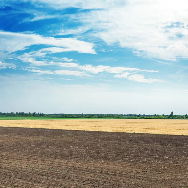 Svart Och Gyllene Jordbruk Och Moln Blå Himmel — Stockfoto