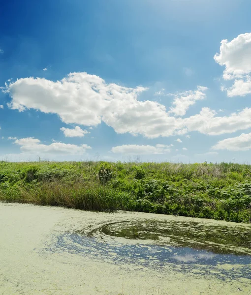 Pantano Verde Cielo Azul Con Nubes —  Fotos de Stock