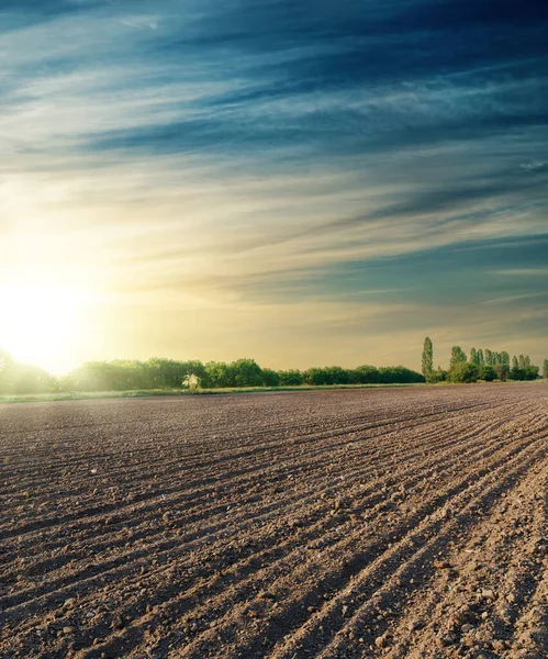 Zwart Landbouwveld Bij Zonsondergang — Stockfoto