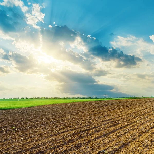 Wolken Zonsondergang Boven Zwart Landbouwveld Het Voorjaar — Stockfoto