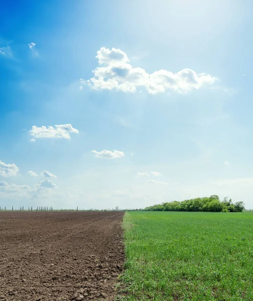 Campo Agricolo Nero Cielo Blu Con Nuvole — Foto Stock