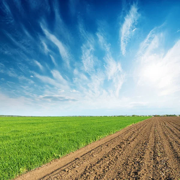 Grüne Und Gepflügte Felder Und Sonnenuntergang Blauen Himmel — Stockfoto