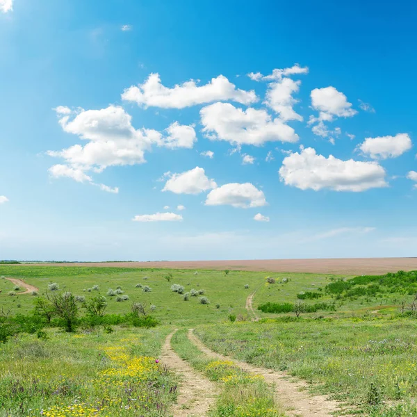 Πράσινο Λιβάδι Στη Στέπα Και Μπλε Ουρανό Άσπρα Σύννεφα — Φωτογραφία Αρχείου