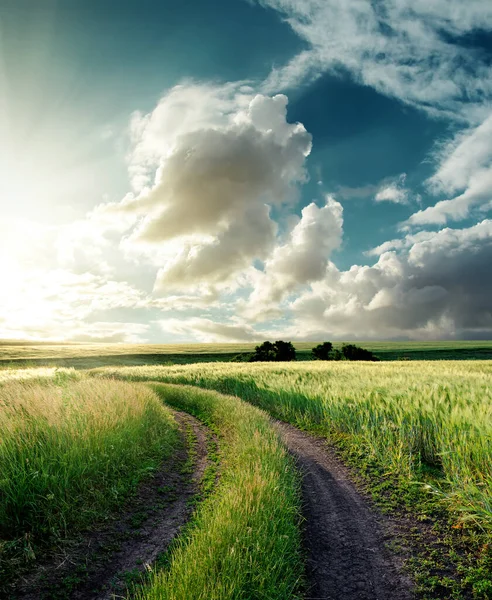 Yeşil tarlada yol ve bulutlarda gün batımı