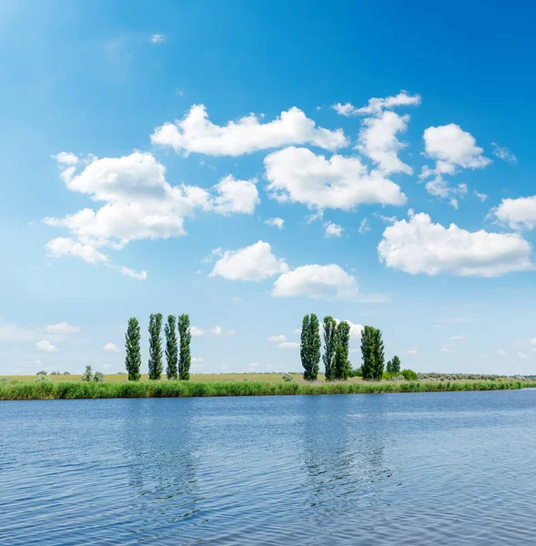 Flod Närbild Och Träd Kusten Moln Blå Himmel — Stockfoto