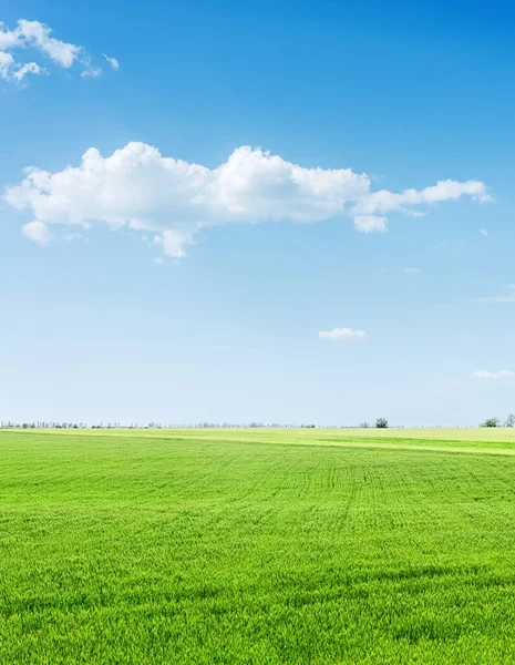 Groen Grasveld Blauwe Lucht Met Wolken Eroverheen — Stockfoto