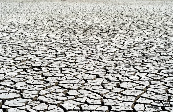 Global Warming Cracked Clay Water — Stock Photo, Image