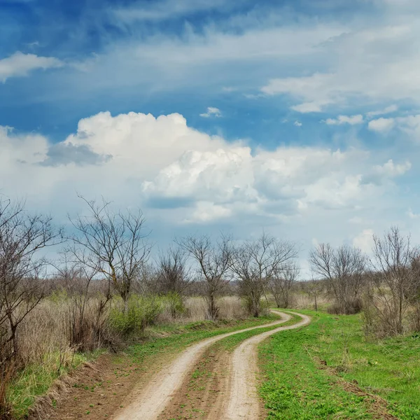 Lage Dramatische Wolken Kronkelende Weg Het Voorjaar Weide — Stockfoto