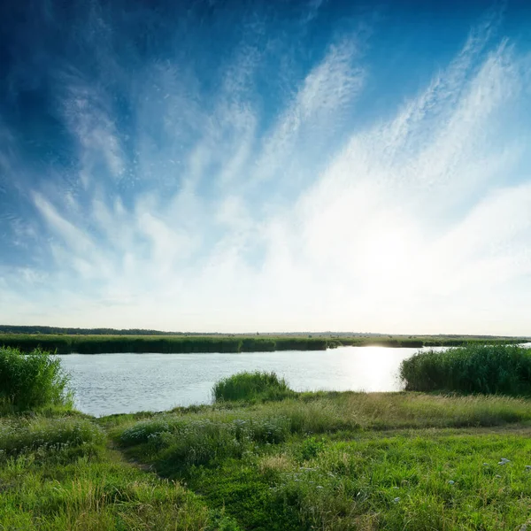 Solnedgång Blå Himmel Över Floden Med Gröna Käppar — Stockfoto