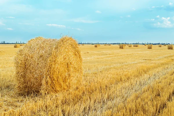 Gyllene Jordbruksmark Efter Skörd Med Halmrulle Solnedgångstid — Stockfoto