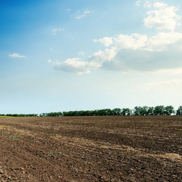 Black Agricultural Field Blue Sky Clouds — Stock Photo, Image