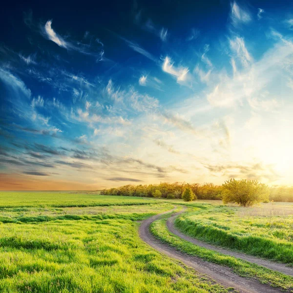 Дорога Зеленом Лугу Закат Впечатляющими Облаками — стоковое фото