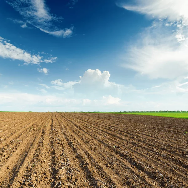 Tramonto Sul Campo Agricolo Nero — Foto Stock