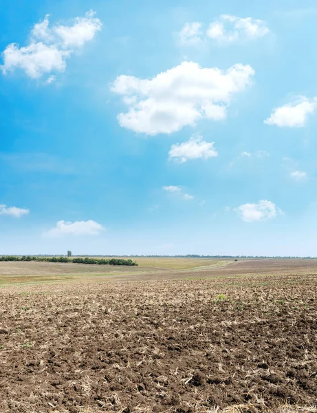 Zwart Geploegd Landbouwveld Oogst Blauwe Lucht Met Witte Wolken Eroverheen — Stockfoto