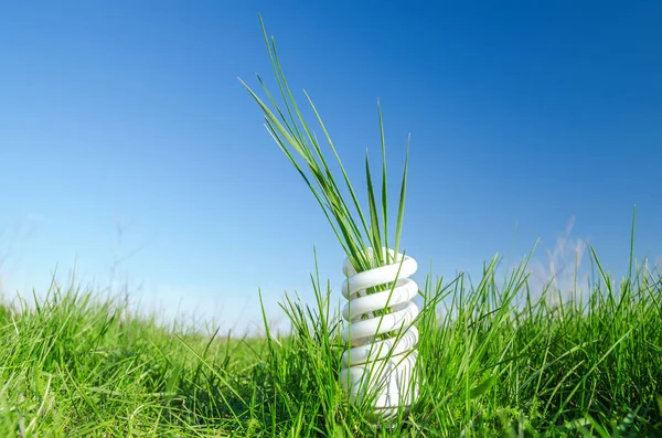 Energy Efficient Spiral Bulb Green Grass — Stock Photo, Image