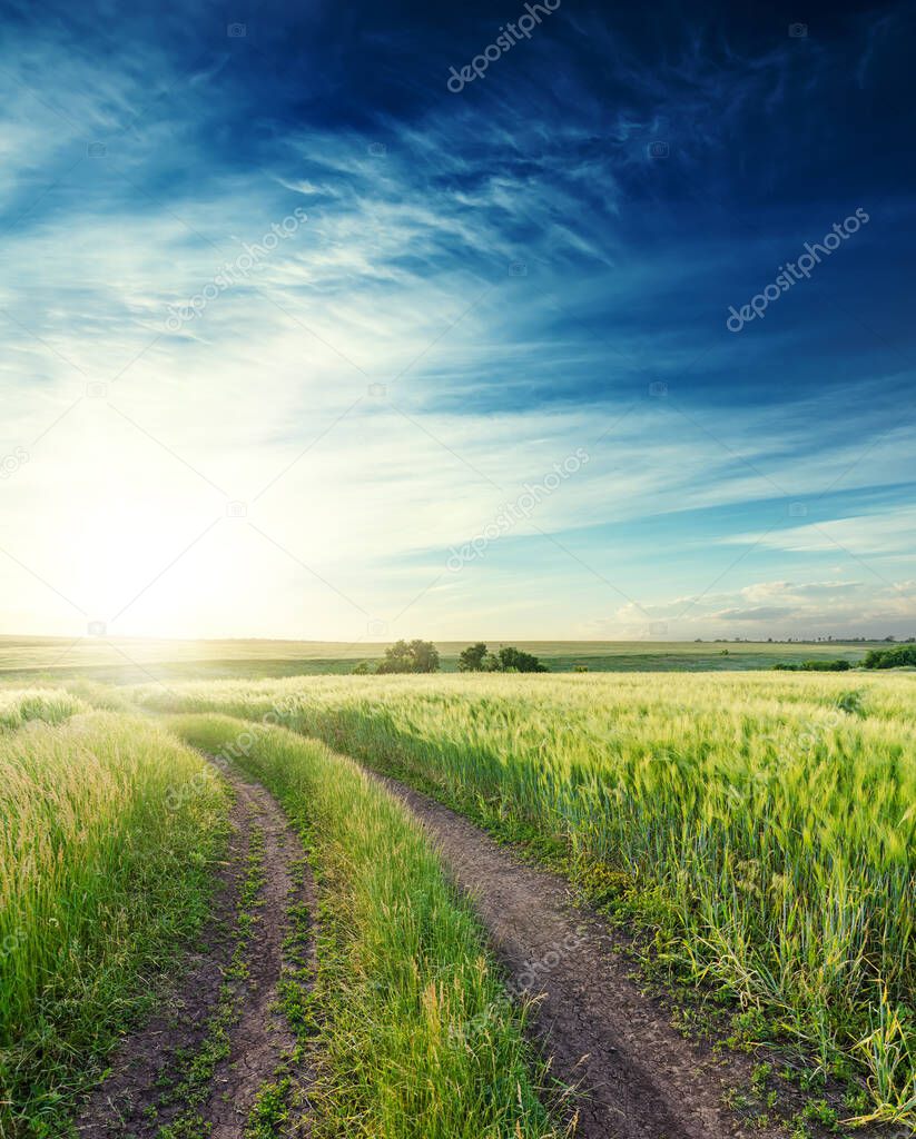 rural road in a green field to the horizon and sunset in deep blue sky with clouds over it