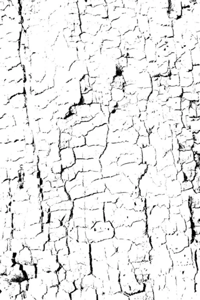 Grunge Noir Blanc Fissuré Fond Motif Terre Illustration Vectorielle — Image vectorielle