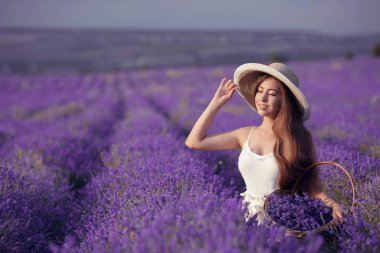 Güzel, genç bir kızın açık hava portresi. Güneş batarken lavanta tarlasında toplanan sepet çiçekli esmer kadın. Uzun, sağlıklı kıvırcık saçlı çekici bir kız.. 