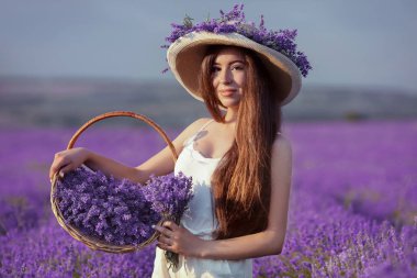 Güzel, genç bir kızın açık hava portresi. Güneş batarken lavanta tarlasında toplanan sepet çiçekli esmer kadın. Uzun, sağlıklı kıvırcık saçlı çekici bir kız.. 