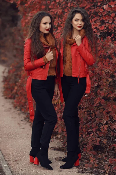 Conjunto Ropa Otoño Para Mujeres Dos Jóvenes Gemelos Morena Hermosa —  Fotos de Stock