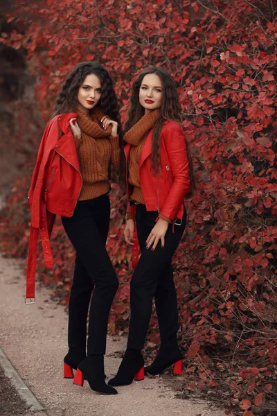 Vrouwen Herfst Kleding Instellen Twee Jonge Mooie Brunette Tweelingen Warme — Stockfoto