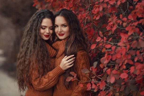 Две Женщины Осенний Наружный Портрет Молодые Красивые Брюнетки Близнецы Теплой — стоковое фото