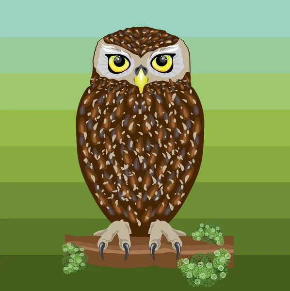 Cute smart owl illustration — Stock Vector