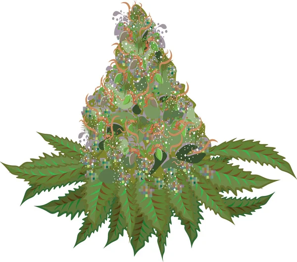 Illustrazione fiore germoglio di marijuana Vettoriale Stock