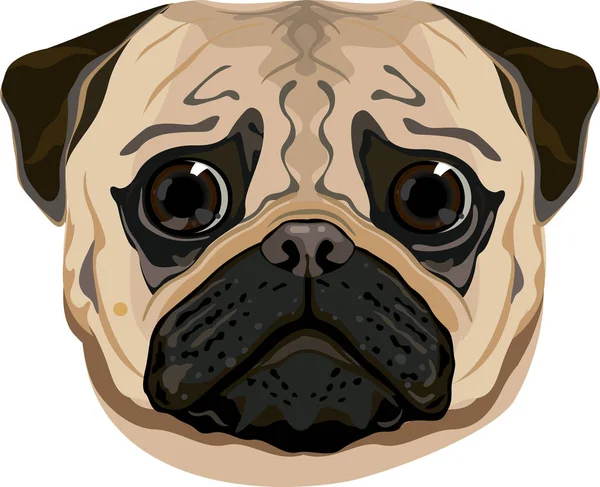 Pug Silly Face Adorable Dog — Stock Vector