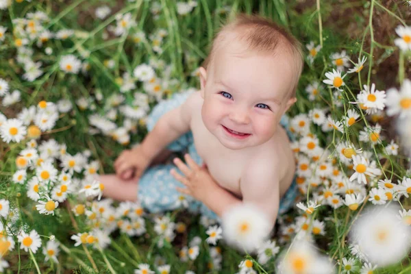 美丽可爱的小宝宝在田野里的菊花里 草药洋甘菊 可爱有趣的小女孩 蓝眼睛笑着 幼儿男孩儿 大自然的花朵快乐的童年夏天的时候积极的情绪 — 图库照片