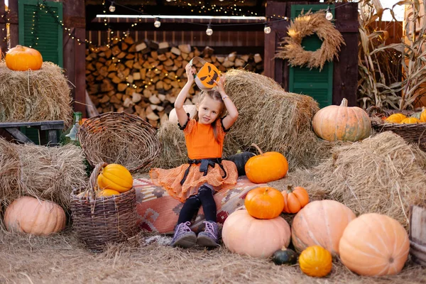 Little Piękne Słodkie Dziewczyny Stroju Dyni Świętować Halloween Zabawna Maskarada — Zdjęcie stockowe