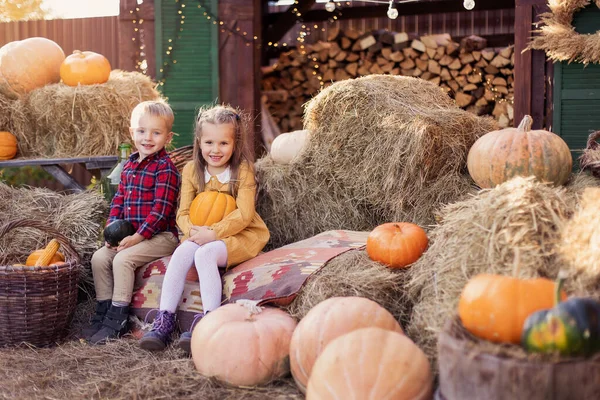 Friends children happy playing in the backyard in the village. Autumn harvest festival little farmer. Thanksgiving holiday tradition decoration. Toddler siblings. Autumn mood October. Country house