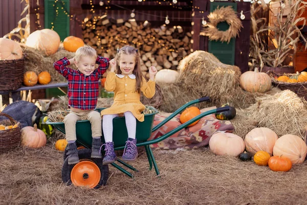 Przyjaciele Dzieci Szczęśliwy Bawiąc Się Podwórku Wiosce Jesienny Festiwal Żniw — Zdjęcie stockowe