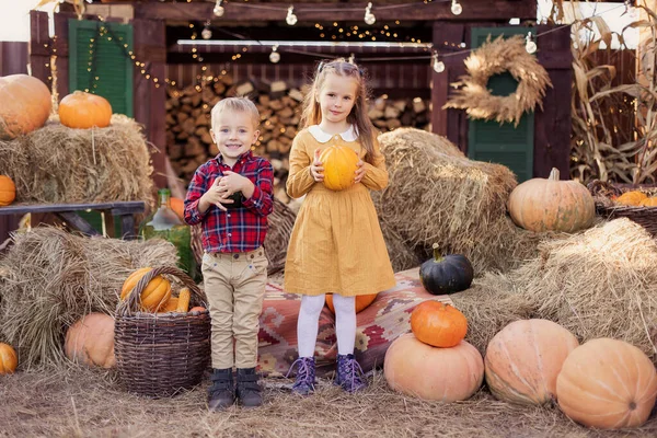 Friends children happy playing in the backyard in the village. Autumn harvest festival little farmer. Thanksgiving holiday tradition decoration. Toddler siblings. Autumn mood October. Country house