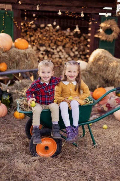 Friends children happy playing in the backyard in the village. Autumn harvest festival little farmer. Thanksgiving holiday tradition decoration. Toddler siblings. Autumn mood October. Country house