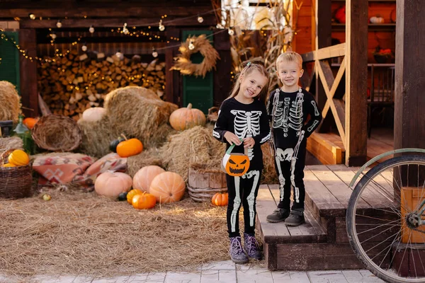 Rodzeństwo Podwórku Świętuje Halloween Dzieci Szczęśliwe Słodkie Piękne Noszenie Szkieletów — Zdjęcie stockowe