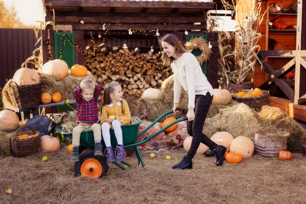 Cheerful family on the farm. Parenting and childhood. Motherhood. Autumn Thanksgiving Day. Outdoor games. Mom drives the children in a wheelbarrow. Harvesting at  farm. Vacation home. Yard decor