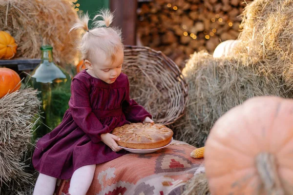 A cute little girl is trying a holiday cake. first Thanksgiving day festive dinner. Autumn mood. Harvest Festival. Country house village life in nature. Caucasian Child touching tasty pie.