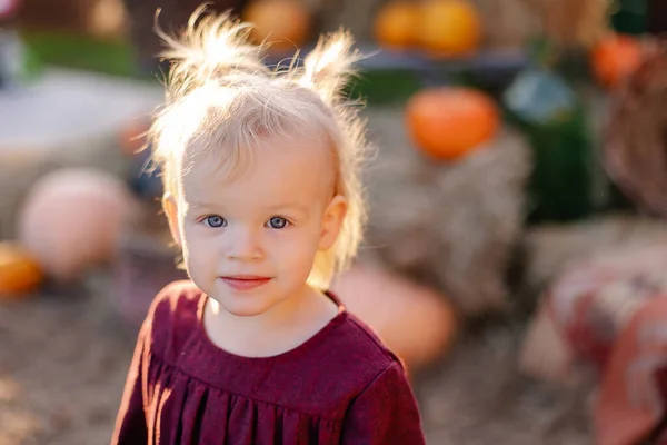 Höstporträtt Söt Vacker Liten Flicka Blont Barn Med Blå Ögon — Stockfoto