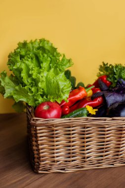 Hasır sepet çeşitli olgun sebzelerle dolu. bereketli hasat. Çok renkli sulu taze: domates, kabak, marul, salatalık, fesleğen, biber ve bitkiler. Vitaminler doğal biyolojik vejetaryenliği belirler.