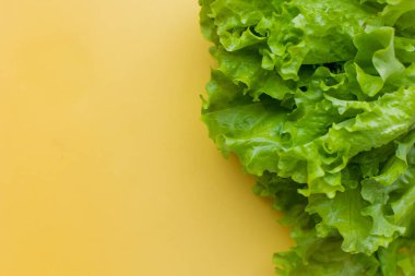 Yeşil salata. Sulu renkli renkli bir doku. Enerjik gençlik enerjisi vejetaryen gıdası kavramı. Sağlıklı taze sebze vitaminleri. Sarı arka planda marul yaprakları. metin boşluğu için yer. Çevre biyolojik diyeti. 
