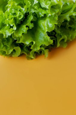 Yeşil salata. Sulu renkli renkli bir doku. Enerjik gençlik enerjisi vejetaryen gıdası kavramı. Sağlıklı taze sebze vitaminleri. Sarı arka planda marul yaprakları. metin boşluğu için yer. Çevre biyolojik diyeti. 