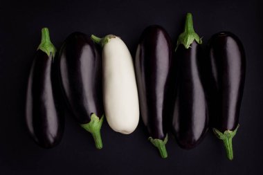 Beyaz patlıcan, siyah patlıcan. Irkçılık hoşgörü farkı dengesi. Vitamin ve sebze enerjisi. Vejetaryen yemeği sağlıklı ve taze. arkaplan dokusu yaratıcı. organik ekolojik biyoloji. çeşitlilik 