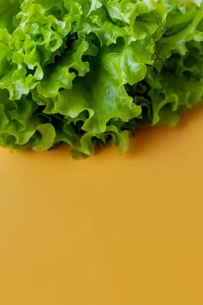 Green Salad. Juicy colorful colored texture. Concept vigor youth energy vegan food. Healthy fresh vegetables vitamins. Lettuce leaves on a yellow background. place for text  copyspace. Eco bio diet.